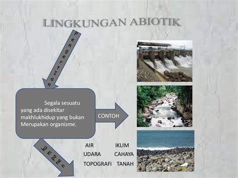 lingkungan biotik dan abiotik