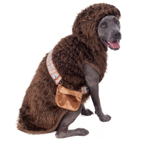 20+ Cute Halloween Costumes for Extra Large Dogs (up to 3XL!) - Hey ...