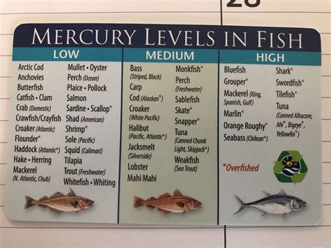 Mercury Levels In Fish Chart Australia