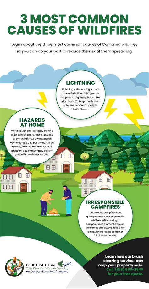 3 Most Common Causes Of California Wildfires | Green Leaf Zone