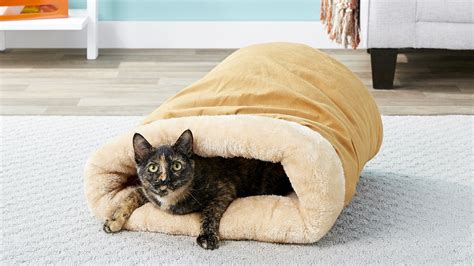 The Best Heated Cat Beds of 2024 | Reviews & Guide