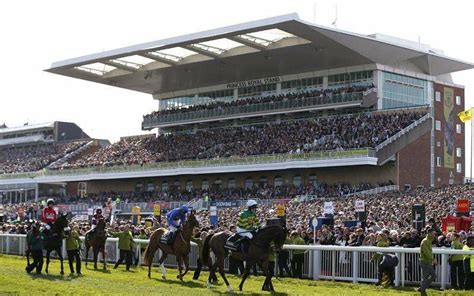 Top Five Racecourses in the UK - Racing Ahead Magazine