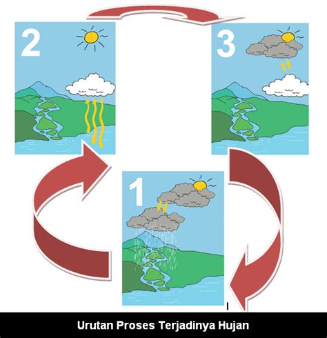 Bagaimana Proses Terjadinya Hujan (Kelas 3 SD) - Katulis