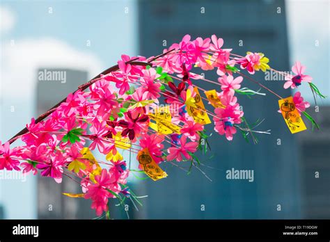 Chinese New Year decorations in the street, Singapore Stock Photo - Alamy