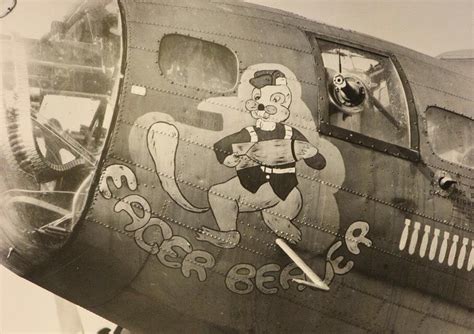 Eager Beaver | Nose art, Airplane art, Aviation art