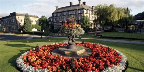 Harrogate Spring Flower Show 2019 Opening Times | Best Flower Site