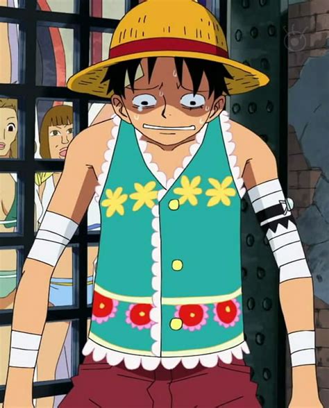 Image - Luffy's Flower Outfit in the Amazon Lily Arc.png | One Piece ...