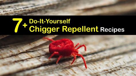 7+ Do-It-Yourself Chigger Repellent Recipes