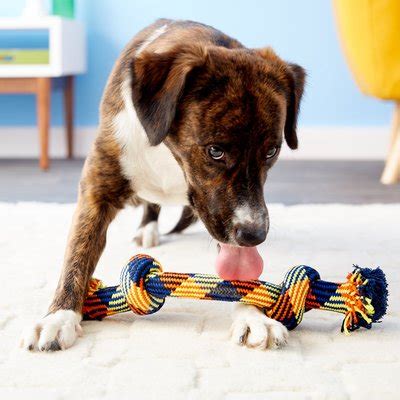 MAMMOTH Braidys 2 Knot Rope Bone for Dogs, Color Varies, Large - Chewy.com