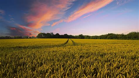 Countryside Harvest Agriculture · Free photo on Pixabay