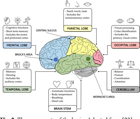 Figure 2 from The Role of EEG-based Brain Computer Interface using ...