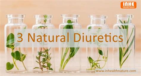 What Are Effective Natural Diuretics? - News - Shaanxi Inhealth Nature ...