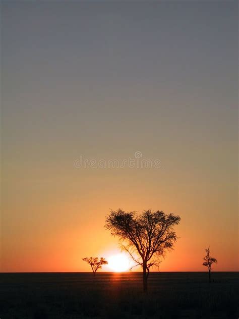 Sunset in the savanna stock photo. Image of orange, namibia - 378932