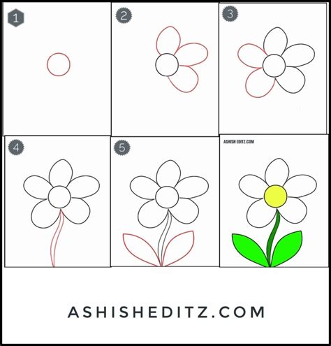 Easy flower drawing with colour step by step