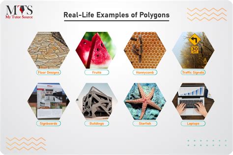 What are Polygons? [Types, Shapes, Formulas and Examples]