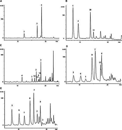 Engineering a Function into a Glycosyltransferase: Cell Chemical Biology