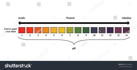 Litmus Paper Color Chart Stock Vector 229142326 - Shutterstock