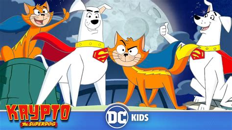 Krypto The Superdog | Krypto And Streaky Save The Day | @dckids - YouTube