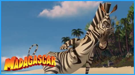 DreamWorks Madagascar | The Very Best Of Marty | Madagascar Movie Clip ...