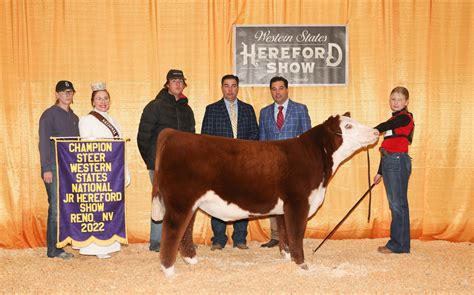 American Hereford | Western States Hereford Show - American Hereford ...