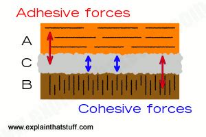 How do adhesives and glues work? | The science of sticking