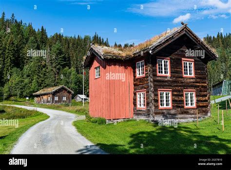 Traditional farm houses, Vest-Telemark Museum Eidsborg, Norway Stock ...