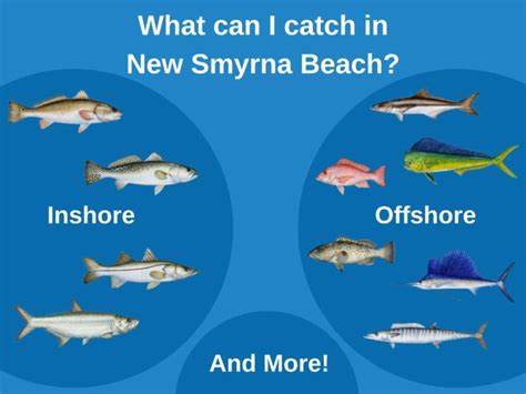 New Smyrna Beach Fishing: The Complete Guide (Updated 2022)