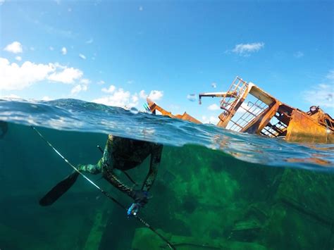 On Assignment: Spearfishing in Cay Sal Bank, Bahamas - Wanderlust Chameleon