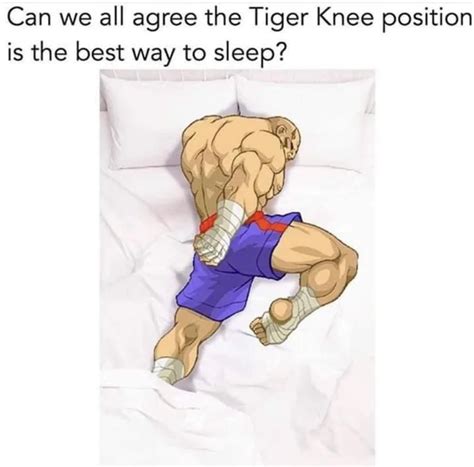 The best position to sleep in : r/StreetFighter