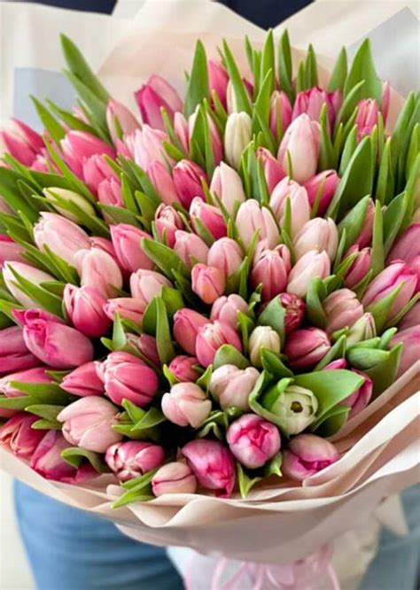 100 Tulips Wrapped Bouquet | The Flower Alley