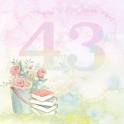 Number 43 Meaning