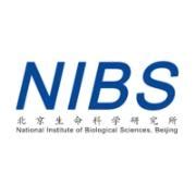 Working at NIBS | Glassdoor