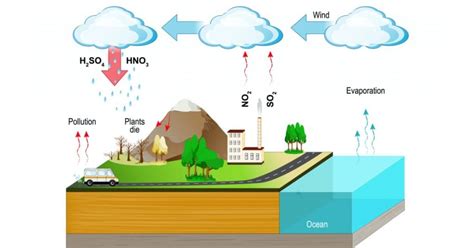 Acid Rain - Causes, Effects and Solutions | All American Environmental