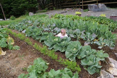 Cherishing Charlotte: Cabbage Patch Kid or Flower Child?