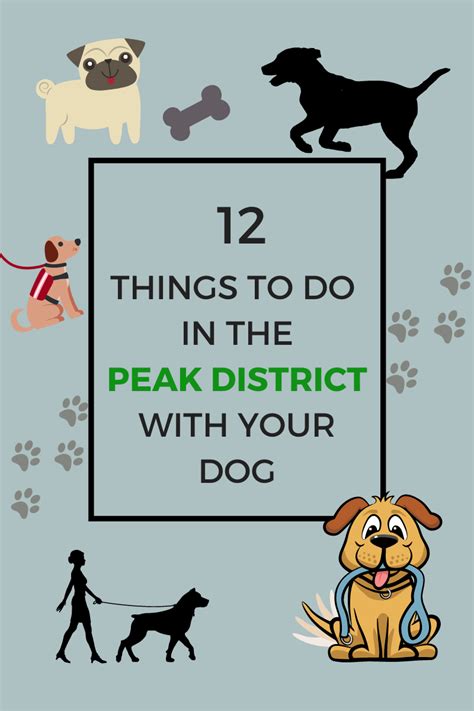 12 things to do with your dog in the Peak District - Dog Friendly Peak ...