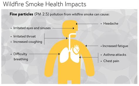 Air Pollution Resources for Wildfire Smoke – Bad River Tribe