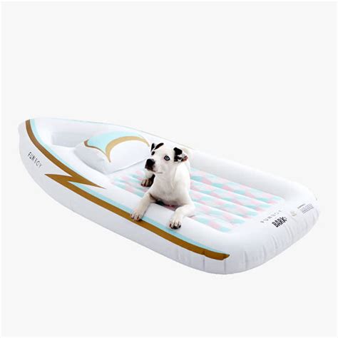 11 Best Dog Floaties For Those Last Pool Days · The Wildest