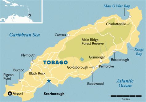 Tobago: the Caribbean with a touch of the Isle of Wight | Tobago ...