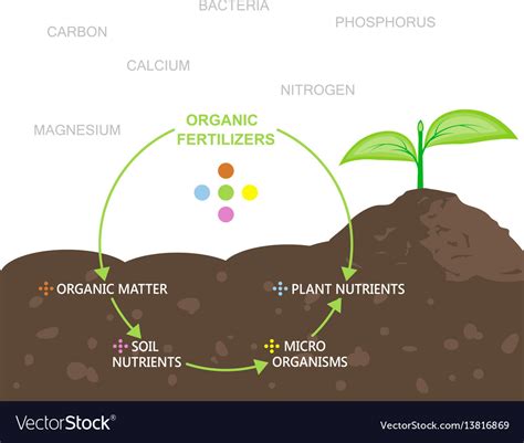 What Is The Use Of Fertilizers In Pakistan? Macro Pakistani, 47% OFF