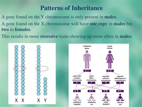 MSK_ONLINE: Demystifying Genetics: Understanding the Science of ...