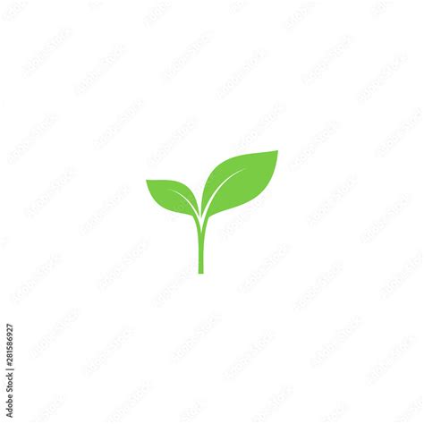 Young sprout green vector icon. Sprout with leaves simple plant symbol ...