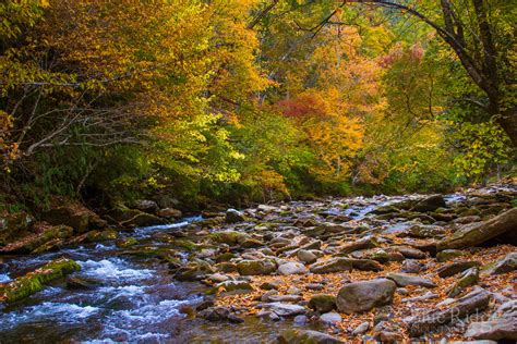 Fall Colors 2018 Nc Mountains Fall, Blue Ridge Mountains, Great Smoky ...