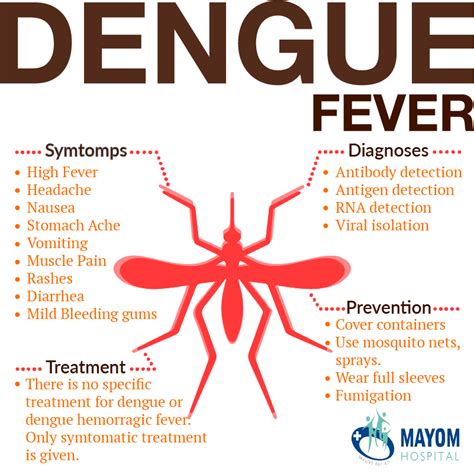 Educate yourself about Dengue Fever | by mayom hospital reviews | Medium