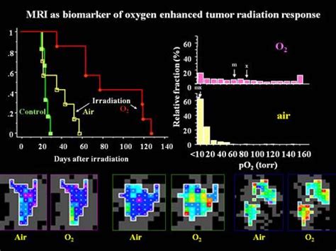 Research | Mason Lab | UT Southwestern, Dallas, Texas