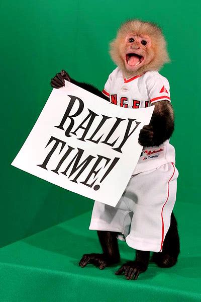 Rally Monkey - Los Angeles Angels of Anaheim - SportMascots.com