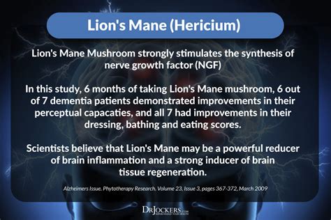 10 Benefits of Lion's Mane Mushroom | Lion mane, Lions mane mushroom ...