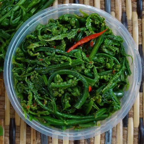 Sayur Paku Pakis Masak Belacan – SCV Shop