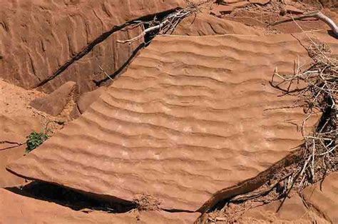 What are Ripple Marks? | Geology Page