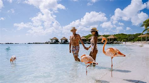 Aruba Holidays 2023/2024 from £1,050 | loveholidays