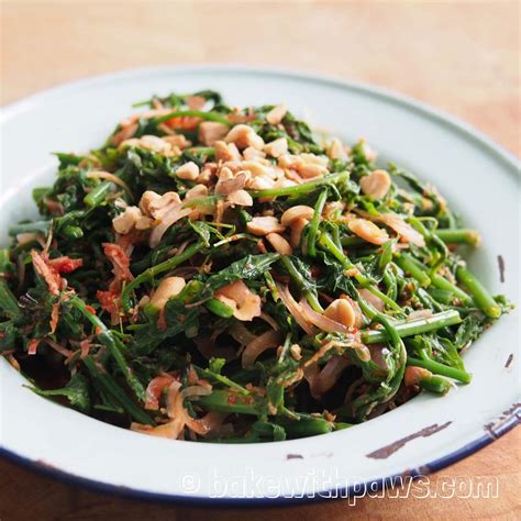 Kerabu Pucuk Paku (Fiddlehead Fern Salad) - BAKE WITH PAWS